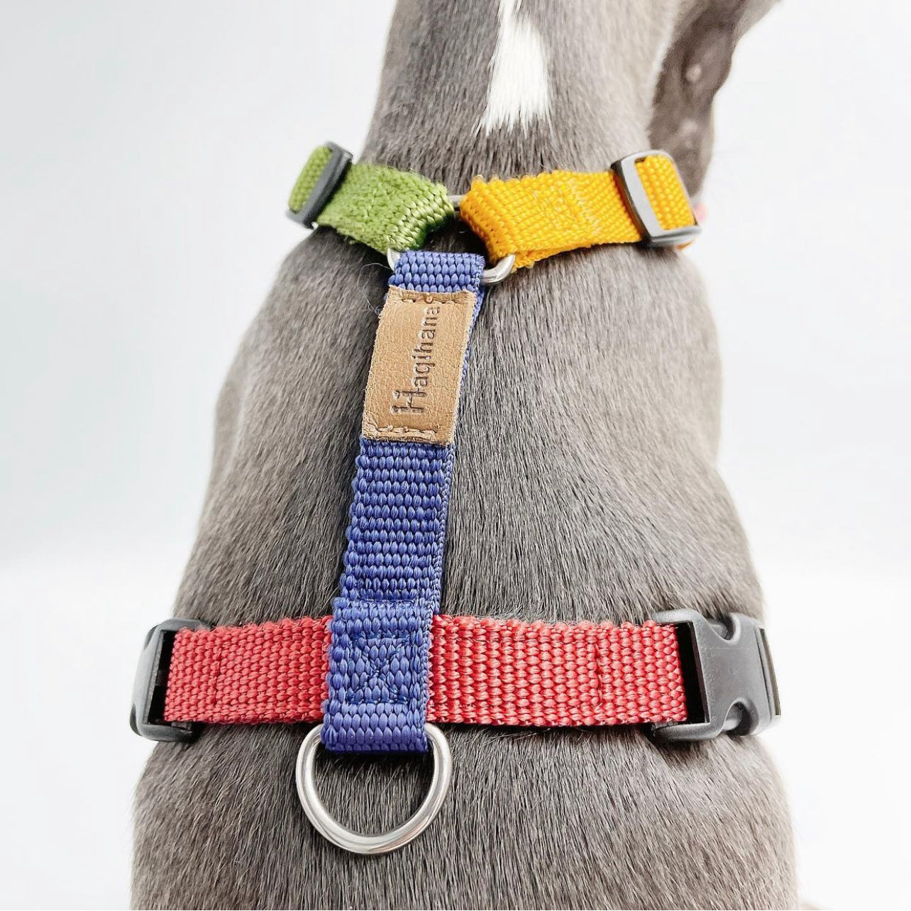 Haqihana Multicolour Harness