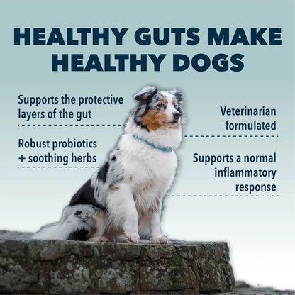 Gut Guard - For Irritated, Leaky Guts