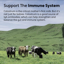 Bovine Colostrum - Healthy Immune Balance