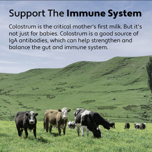 Bovine Colostrum - Healthy Immune Balance