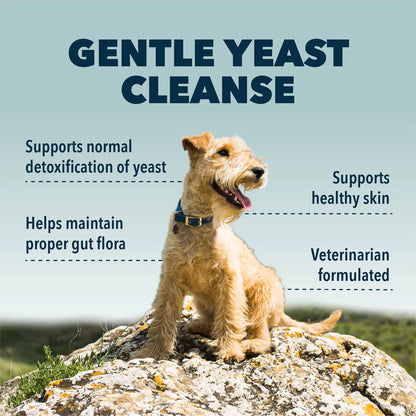 Yeast Guard - Gentle Yeast Cleanse