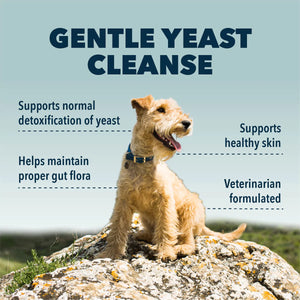 (SALE!) Yeast Guard - Gentle Yeast Cleanse