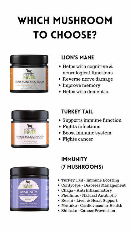 Seven ‘Shrooms - Enhance Immune, Liver & Kidney Function